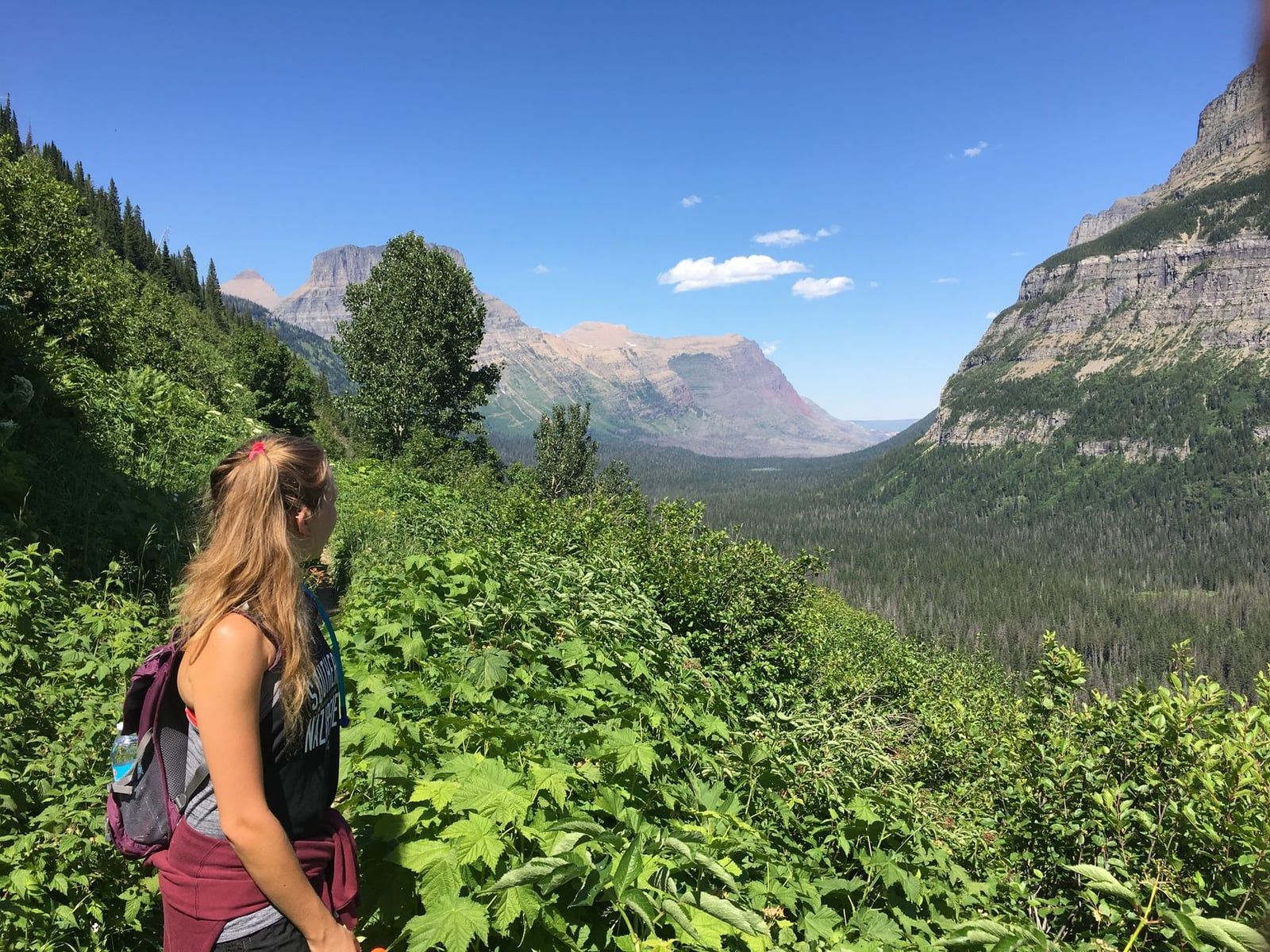 Un randonneur contemple une vallée de montagne verdoyante dans le parc national de Glacier par une journée dégagée.