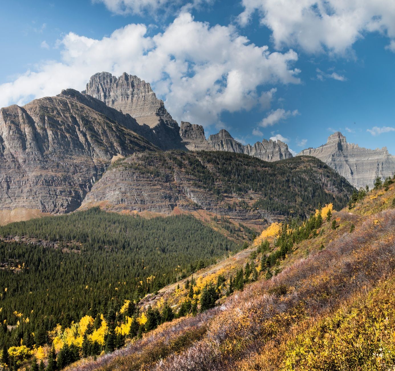 The sheer rock face of Mount Gould and the jagged Garden Wall arête rise above autumn forests under a blue sky in Glacier National Park.
