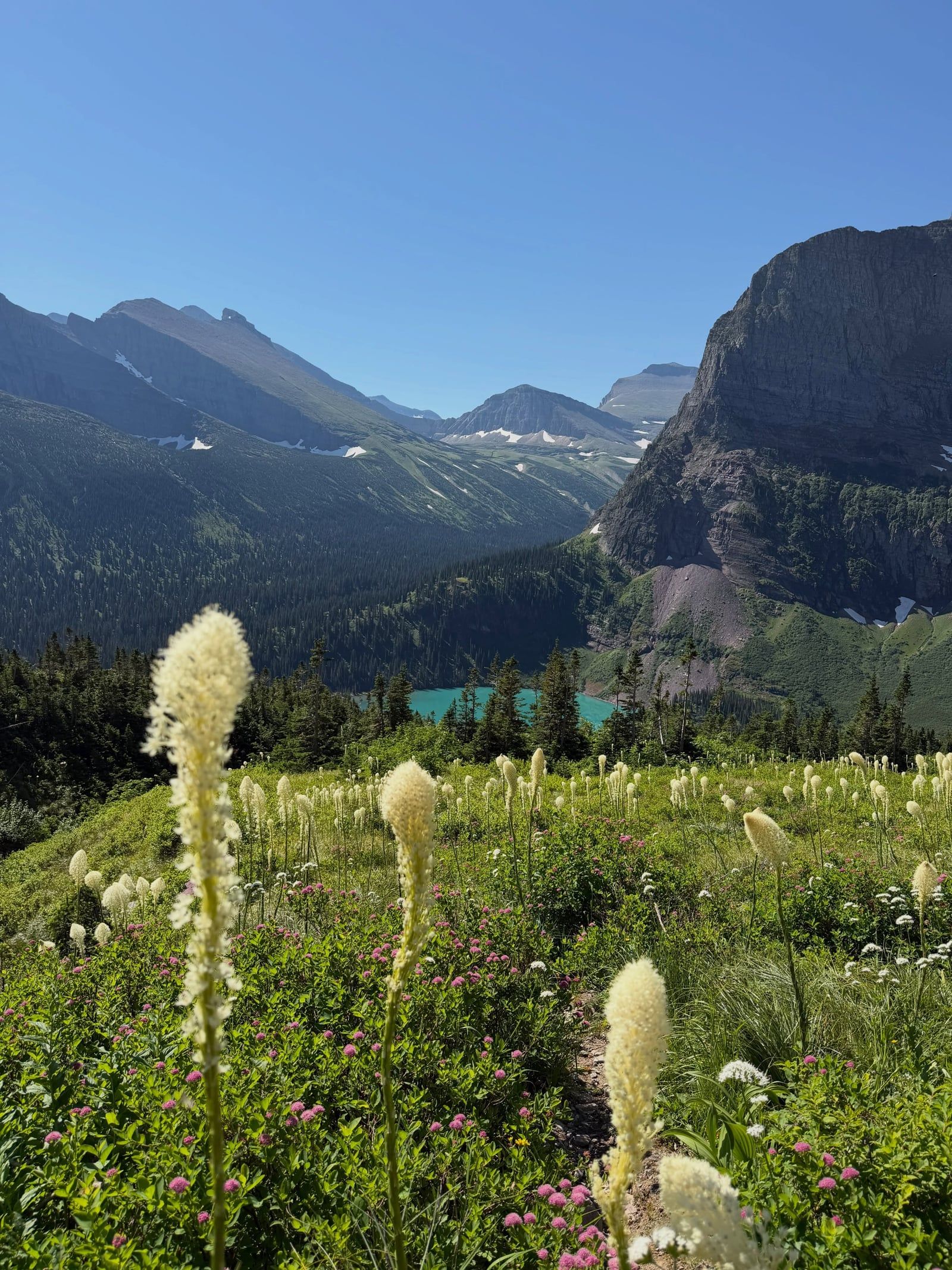 Ansicht von Glacier-Nationalpark