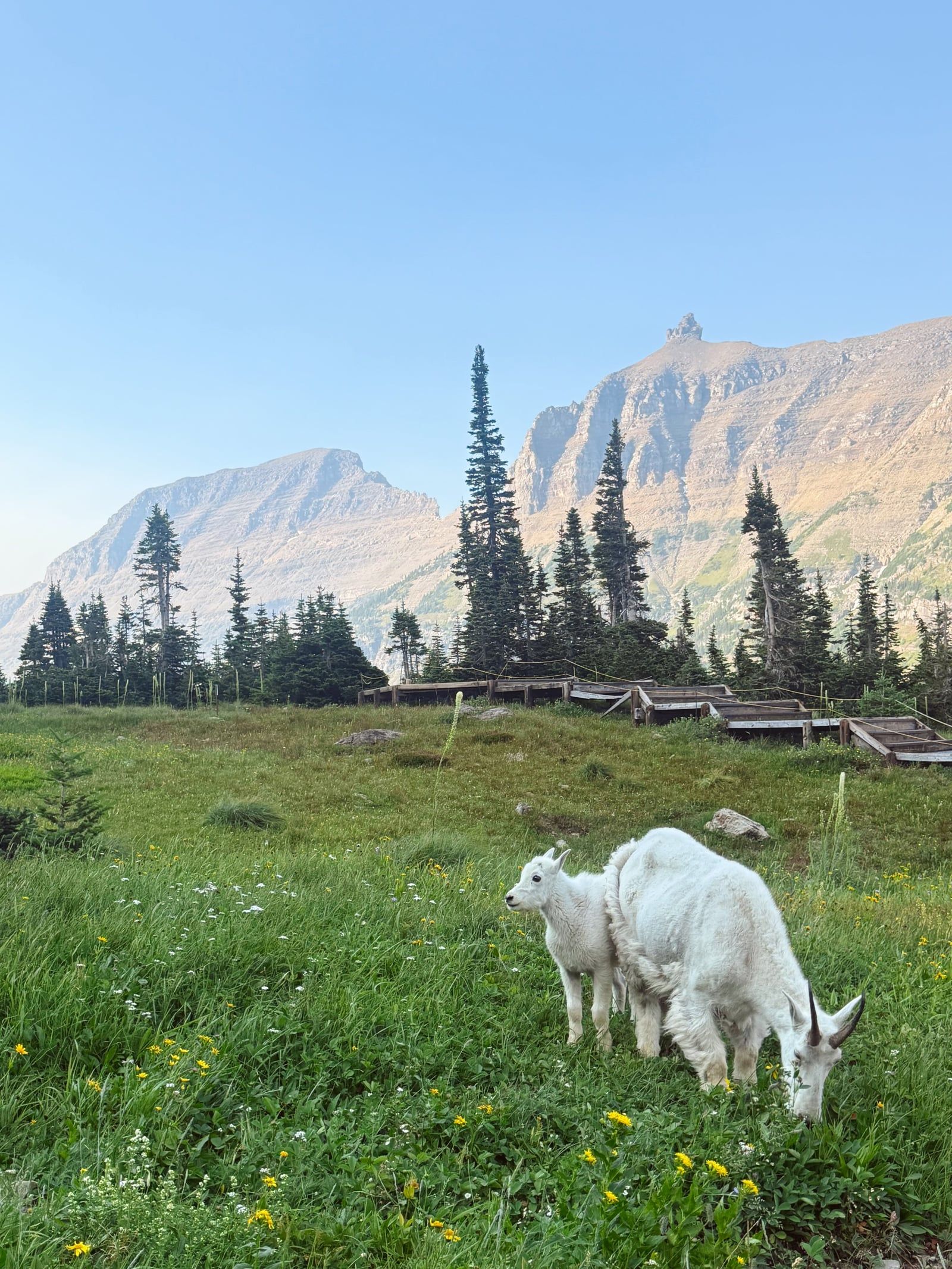 Ansicht von Glacier-Nationalpark